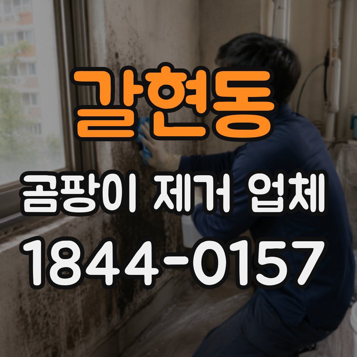 갈현동 곰팡이 제거 업체