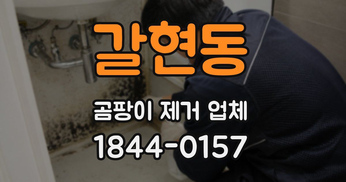 갈현동 곰팡이 제거 업체