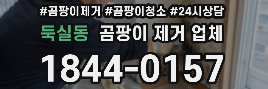 둑실동 곰팡이 제거 업체