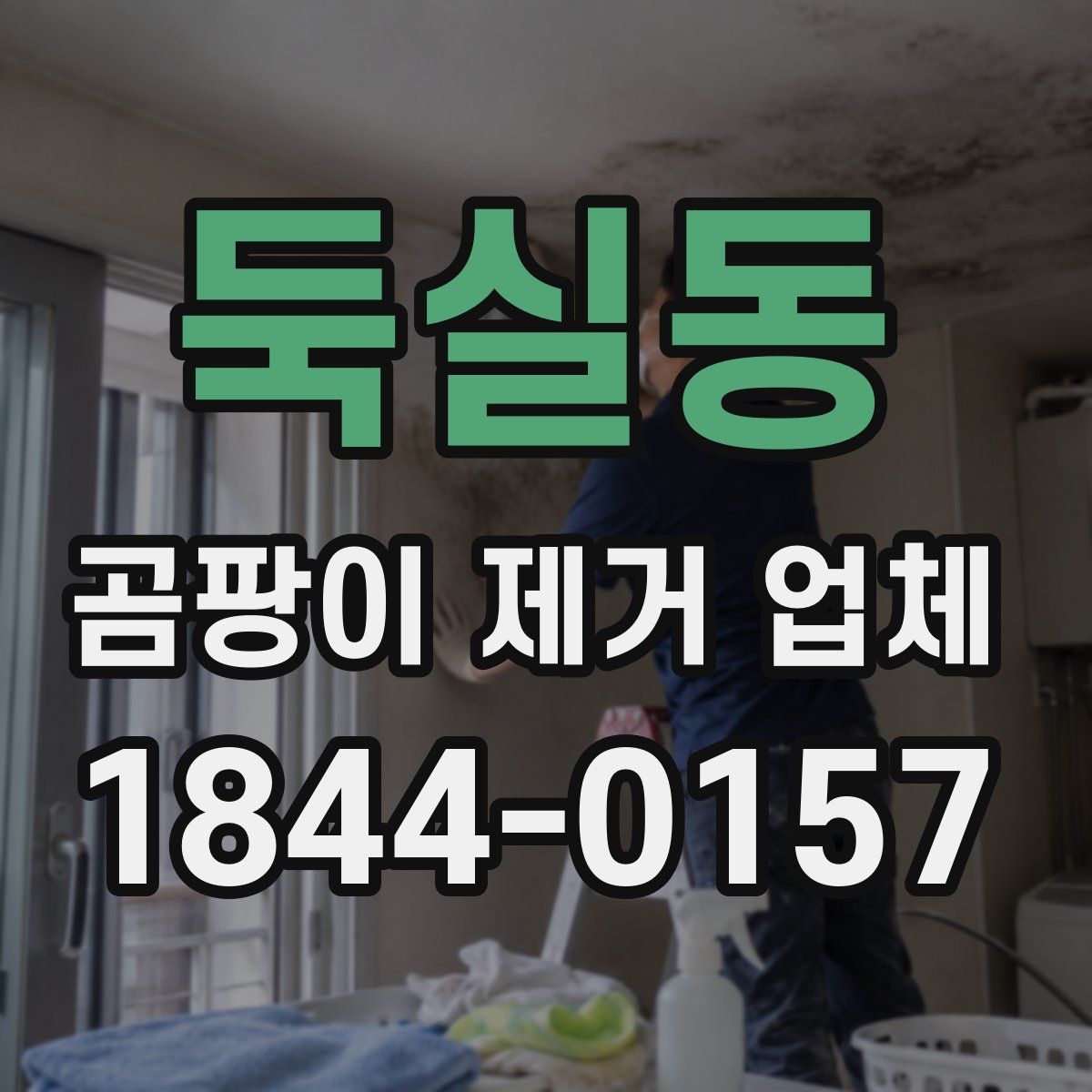 둑실동 곰팡이 제거 업체
