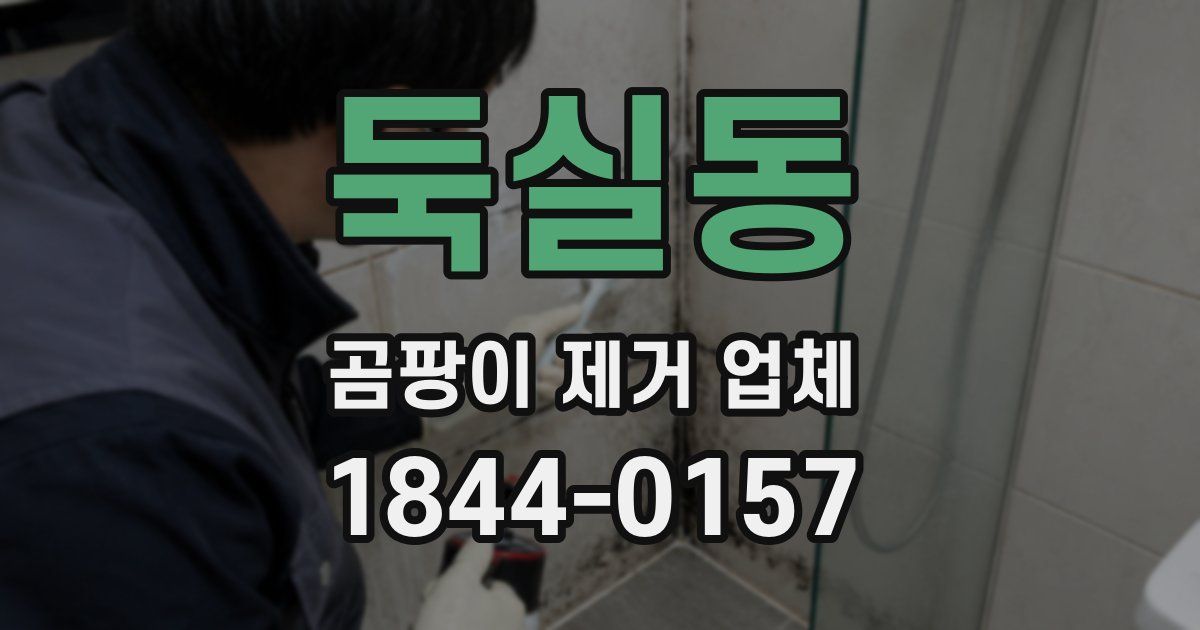 둑실동 곰팡이 제거 업체