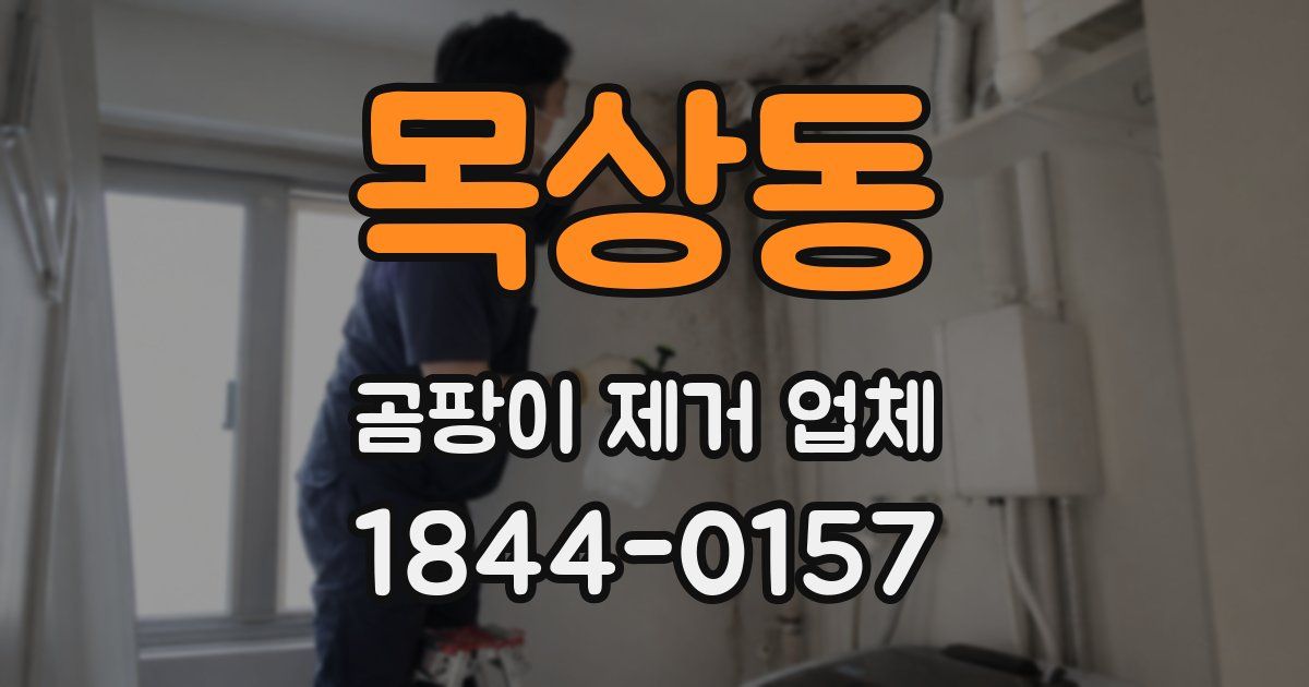 목상동 곰팡이 제거 업체