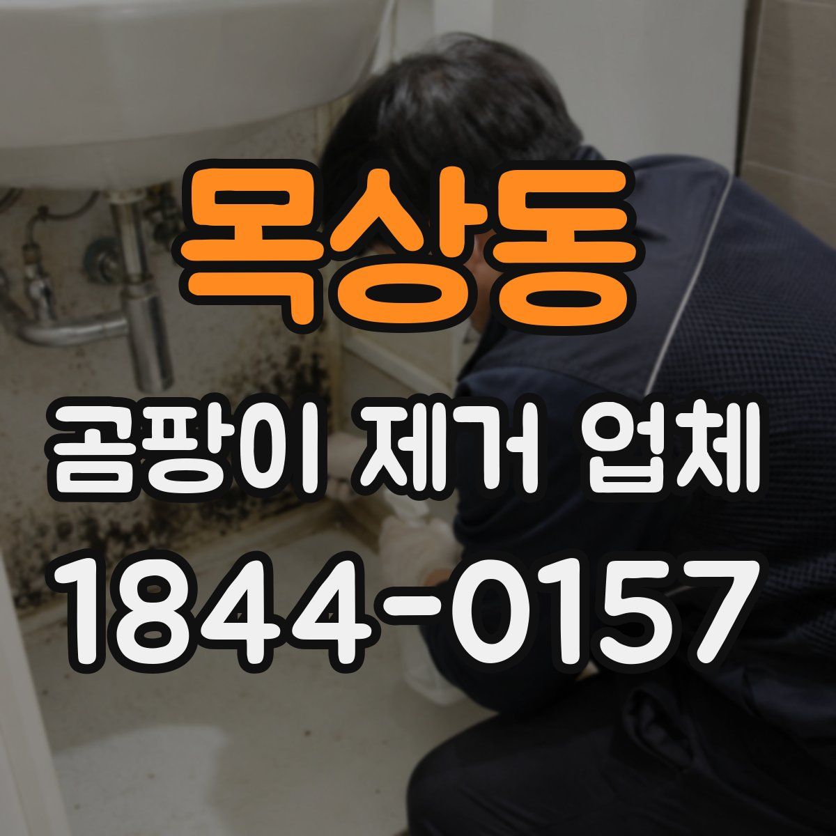 목상동 곰팡이 제거 업체