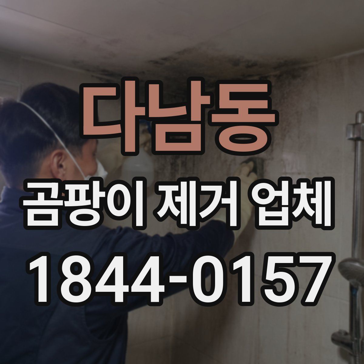 다남동 곰팡이 제거 업체