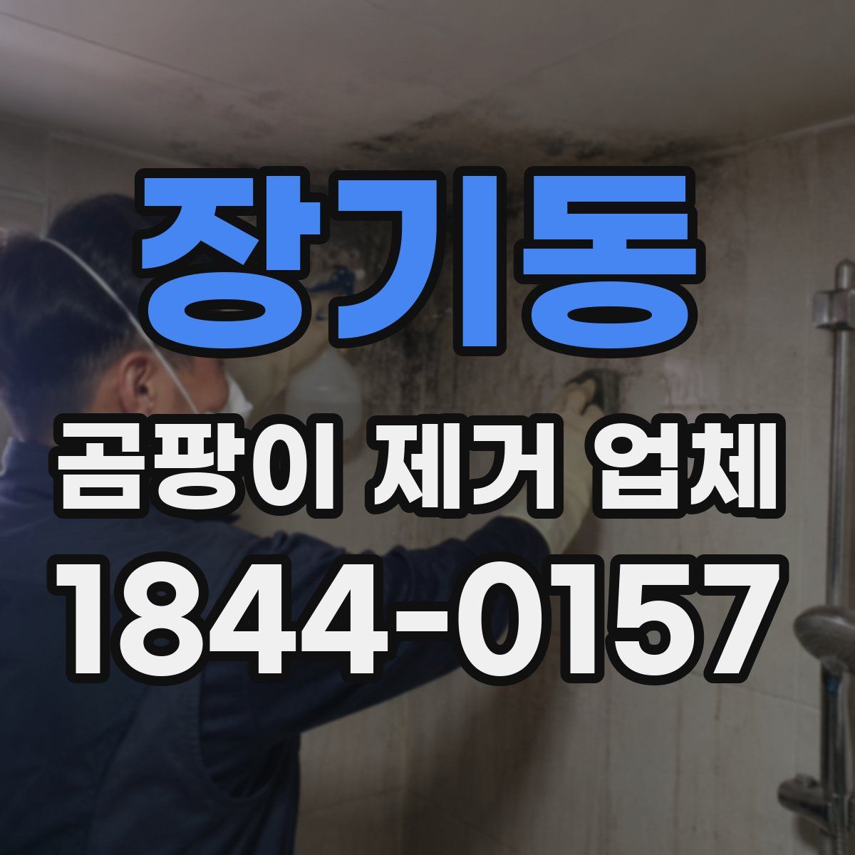 장기동 곰팡이 제거 업체