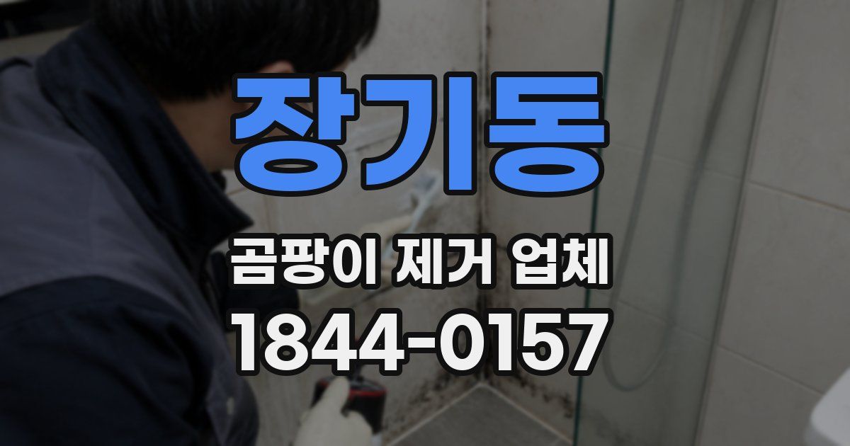 장기동 곰팡이 제거 업체
