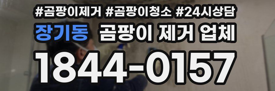 장기동 곰팡이 제거 업체