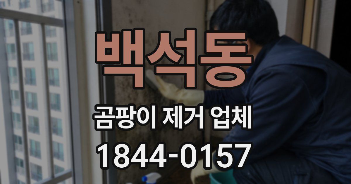 백석동 곰팡이 제거 업체