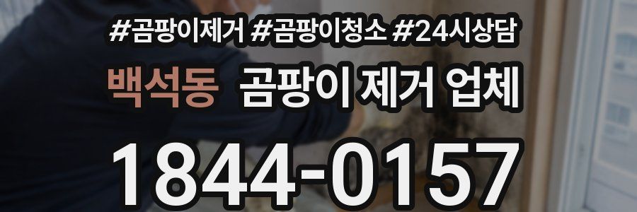 백석동 곰팡이 제거 업체