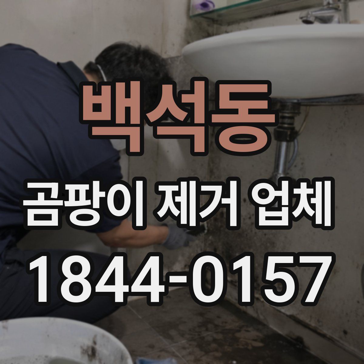 백석동 곰팡이 제거 업체