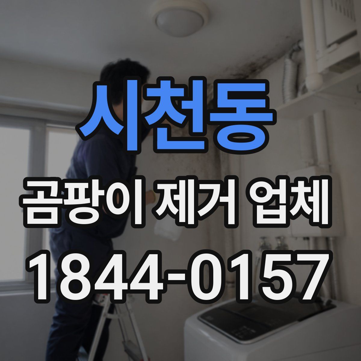 시천동 곰팡이 제거 업체