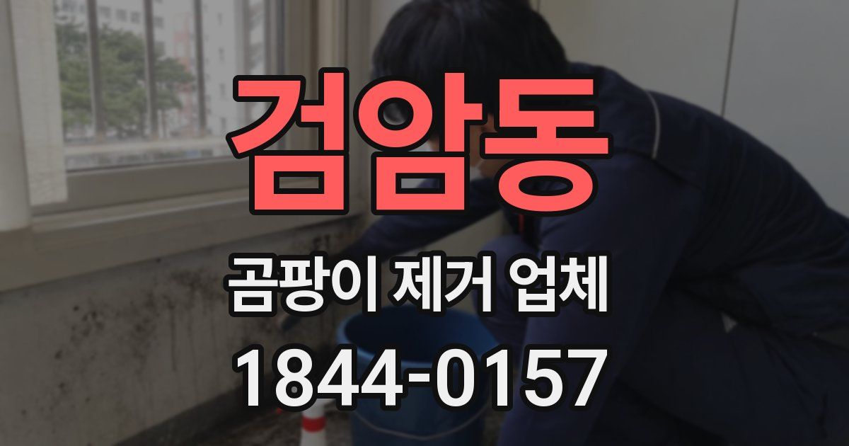검암동 곰팡이 제거 업체
