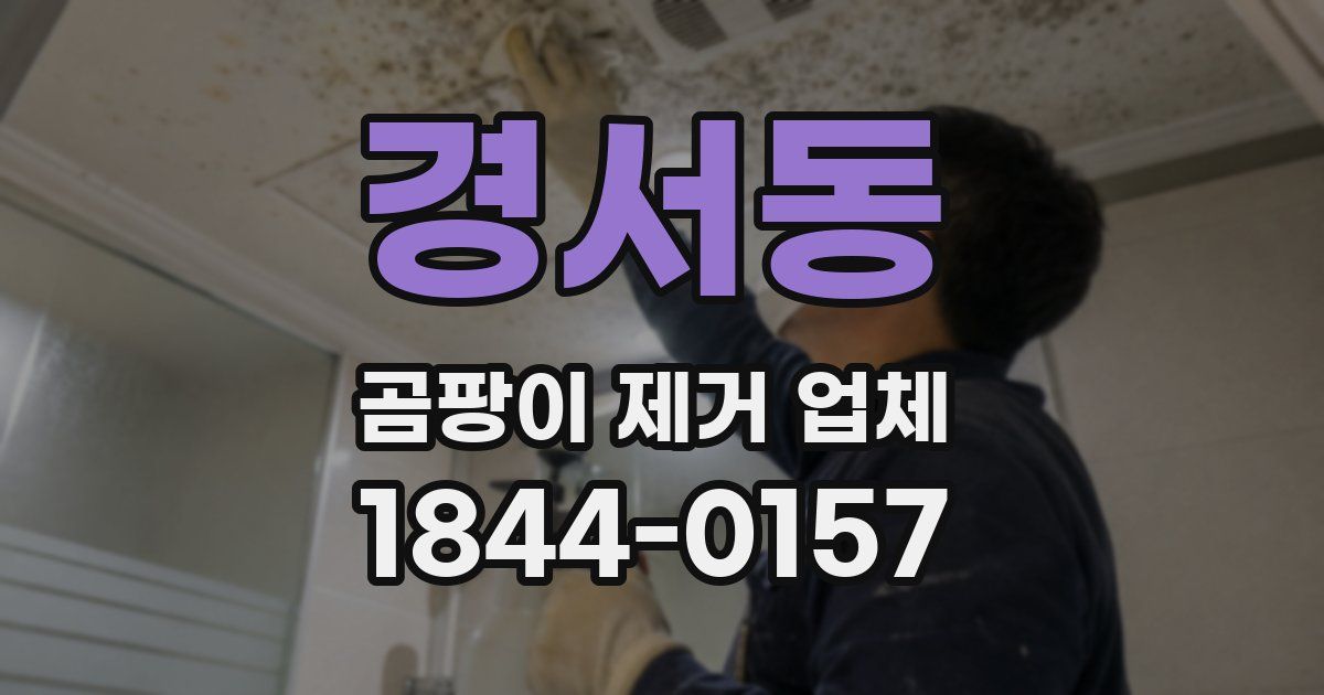 경서동 곰팡이 제거 업체