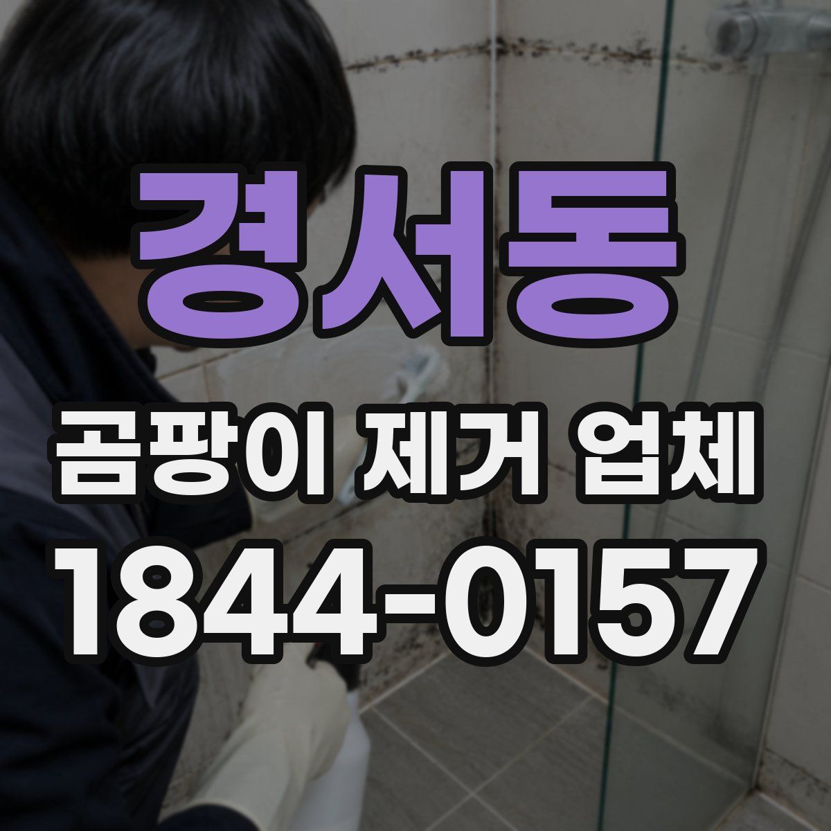 경서동 곰팡이 제거 업체