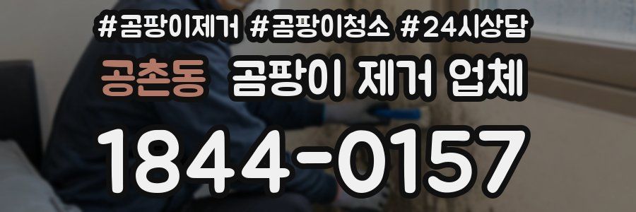 공촌동 곰팡이 제거 업체