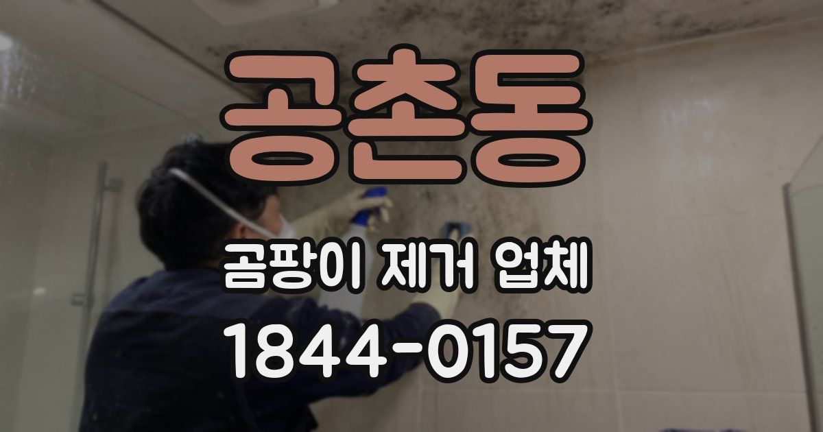 공촌동 곰팡이 제거 업체