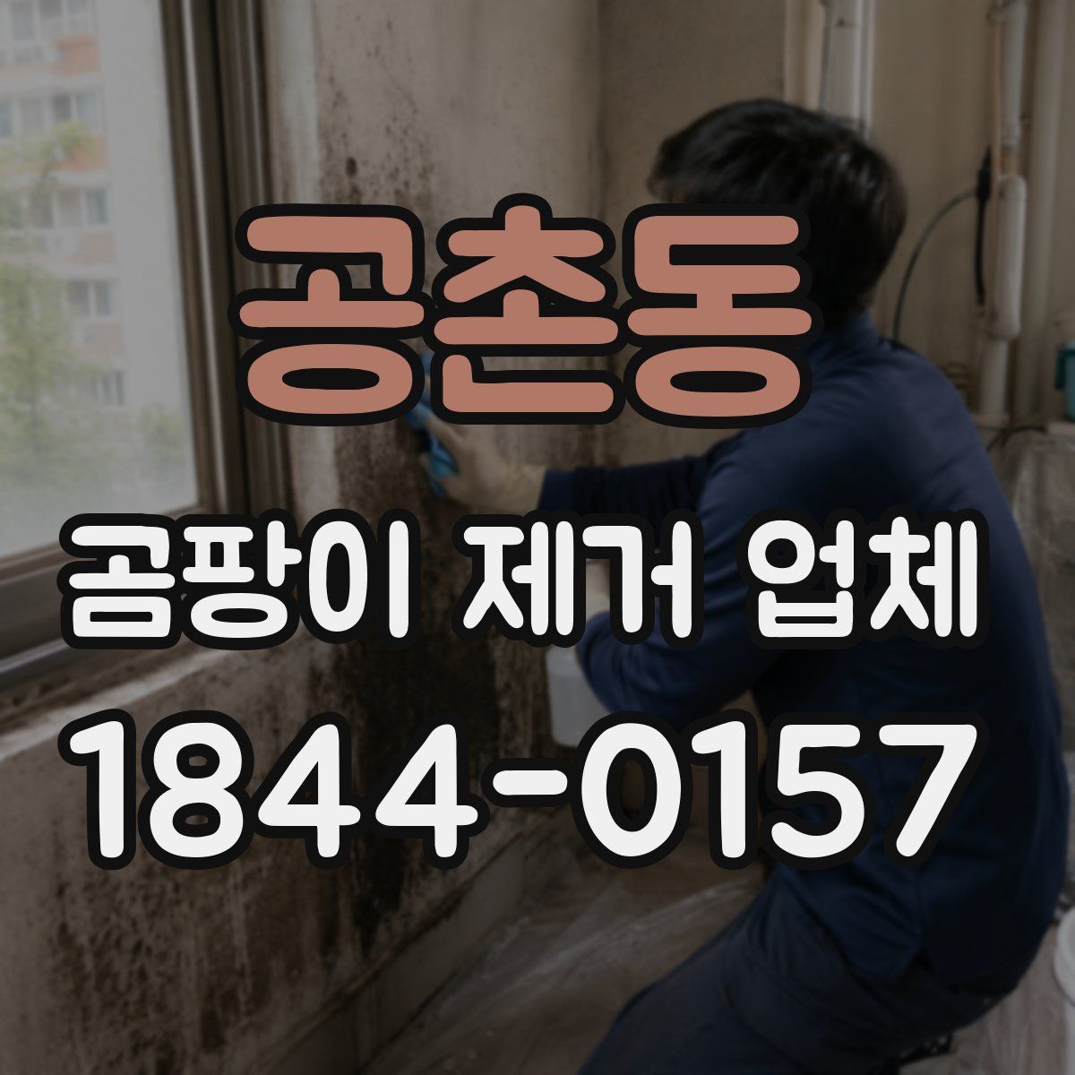 공촌동 곰팡이 제거 업체