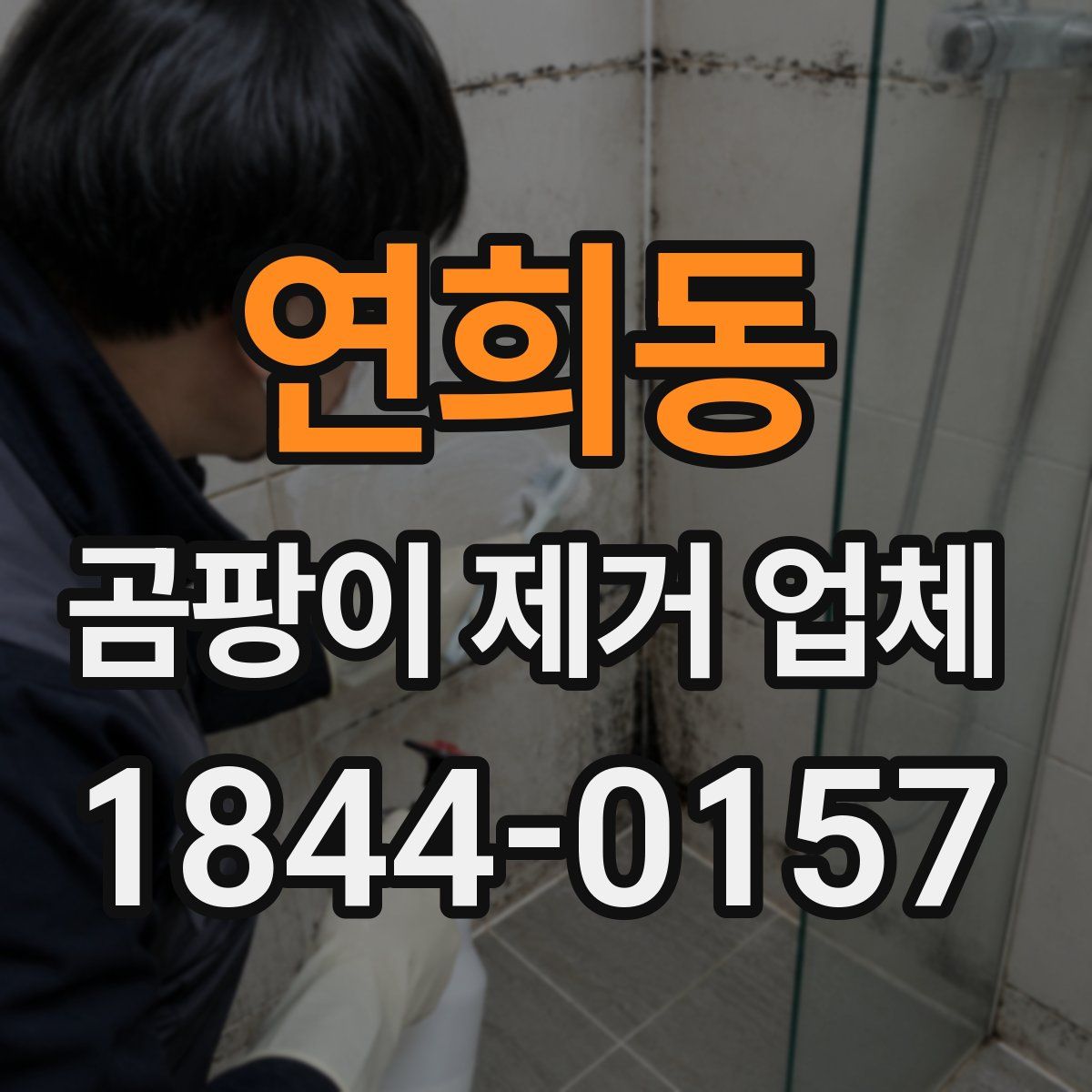 연희동 곰팡이 제거 업체