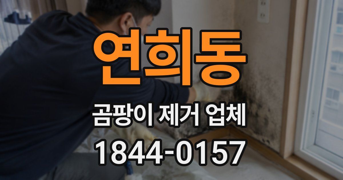 연희동 곰팡이 제거 업체