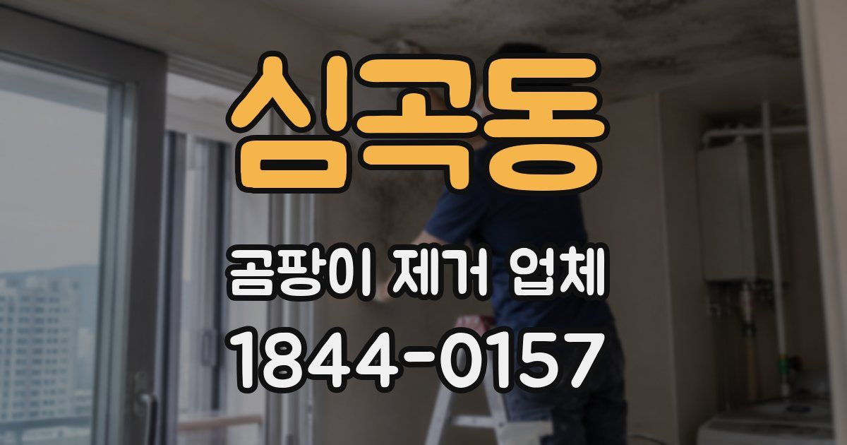 심곡동 곰팡이 제거 업체