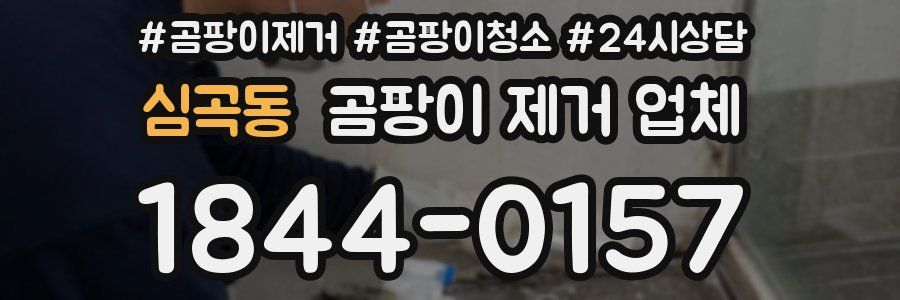 심곡동 곰팡이 제거 업체
