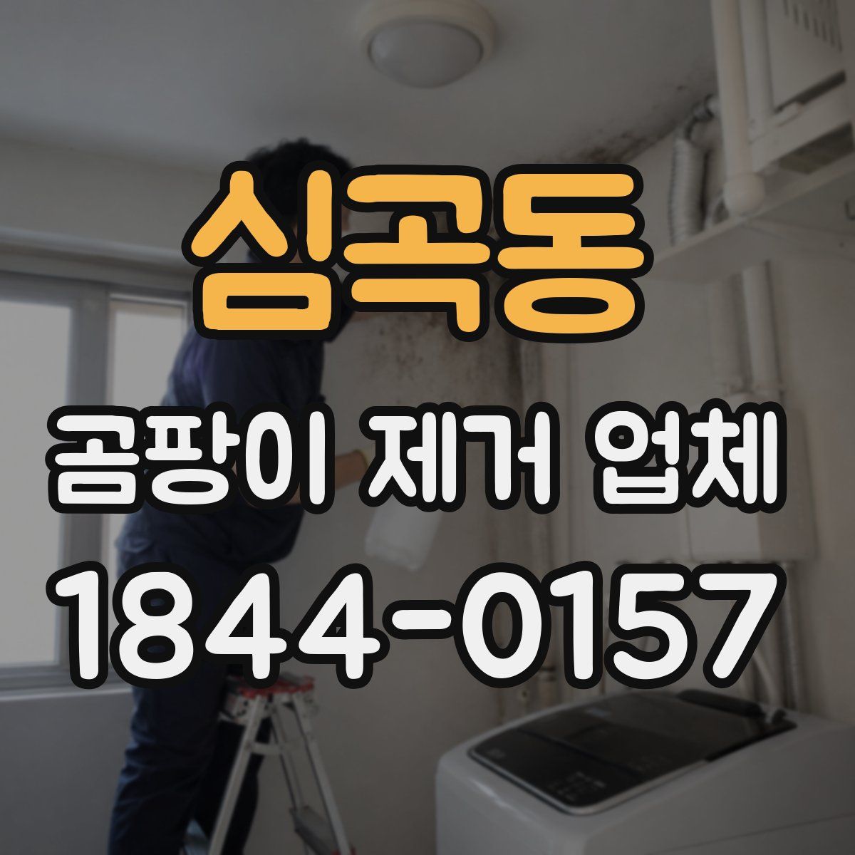 심곡동 곰팡이 제거 업체