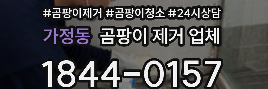 가정동 곰팡이 제거 업체