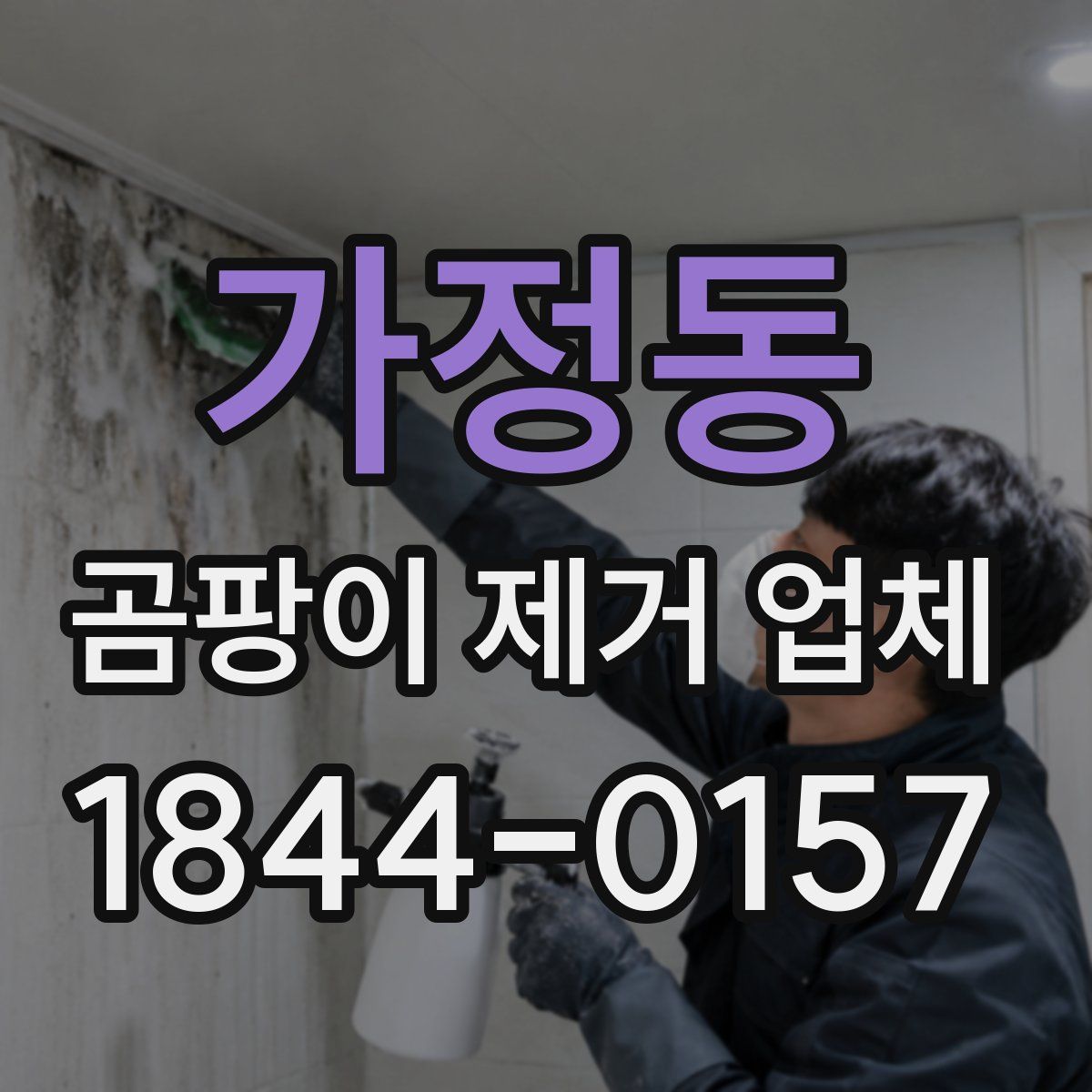 가정동 곰팡이 제거 업체