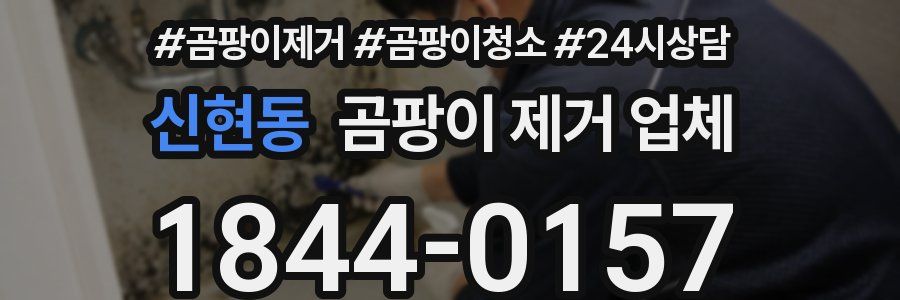 신현동 곰팡이 제거 업체