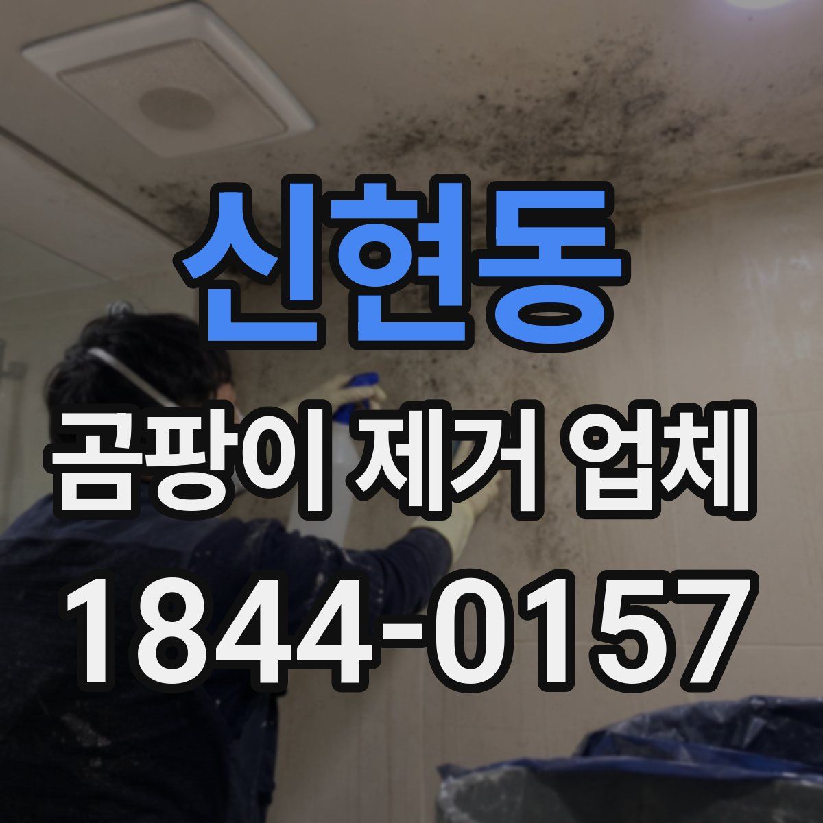 신현동 곰팡이 제거 업체