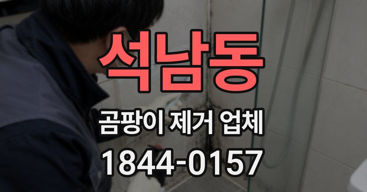 석남동 곰팡이 제거 업체