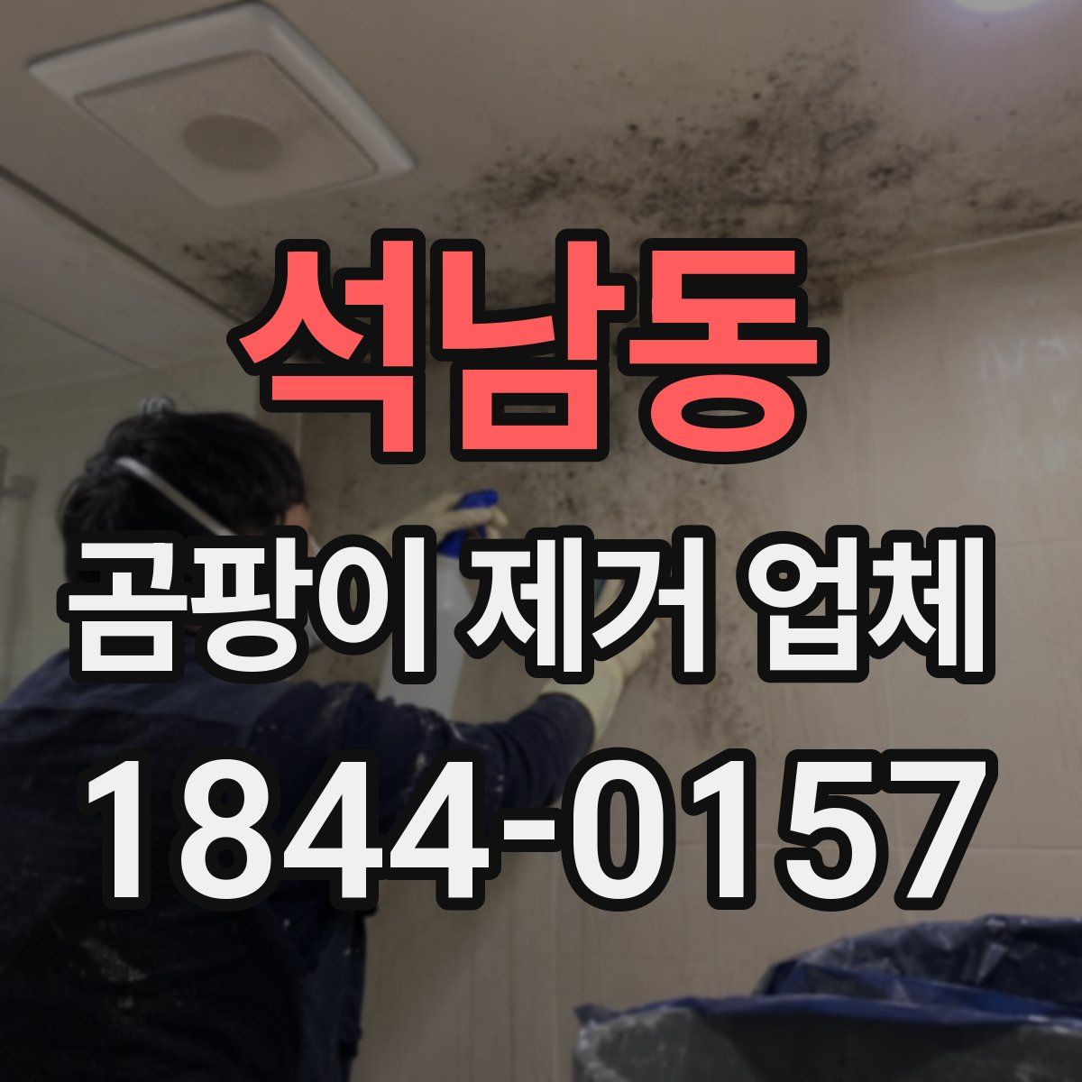 석남동 곰팡이 제거 업체