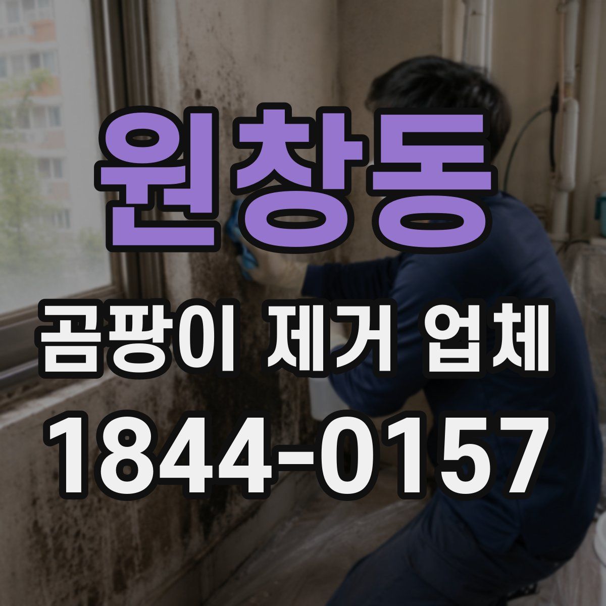 원창동 곰팡이 제거 업체