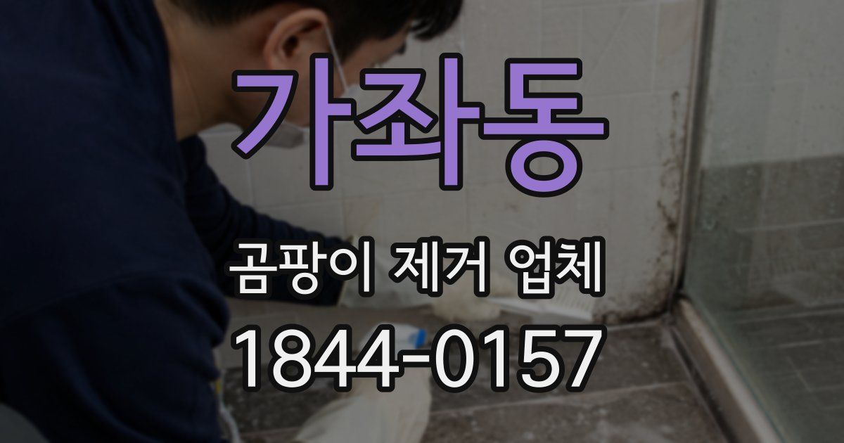 가좌동 곰팡이 제거 업체