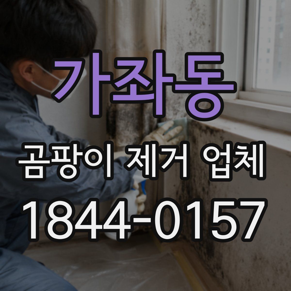 가좌동 곰팡이 제거 업체
