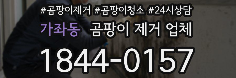 가좌동 곰팡이 제거 업체