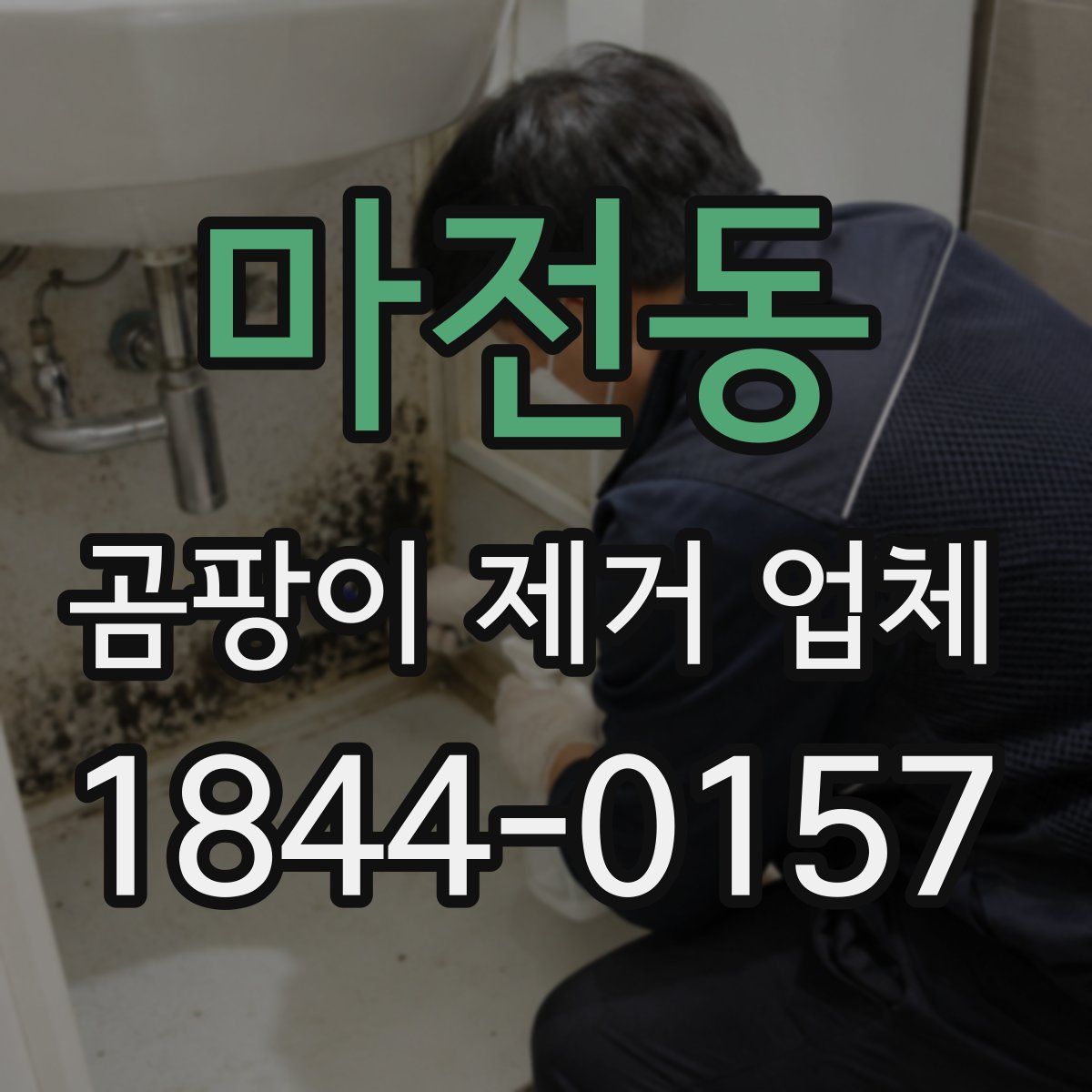 마전동 곰팡이 제거 업체