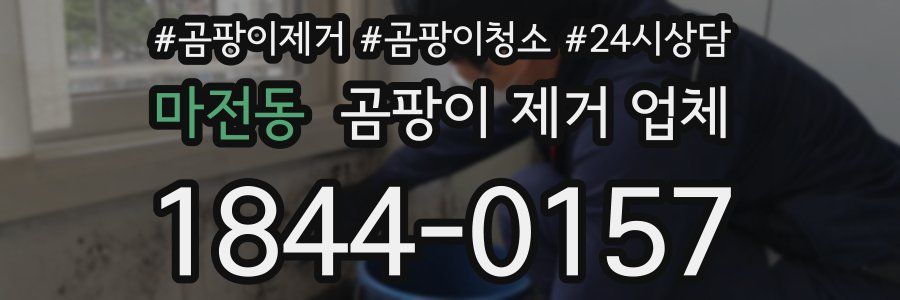 마전동 곰팡이 제거 업체