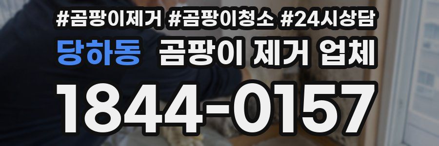 당하동 곰팡이 제거 업체