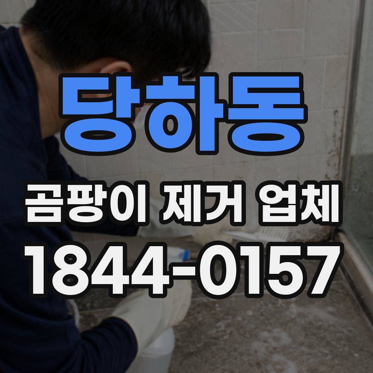 당하동 곰팡이 제거 업체