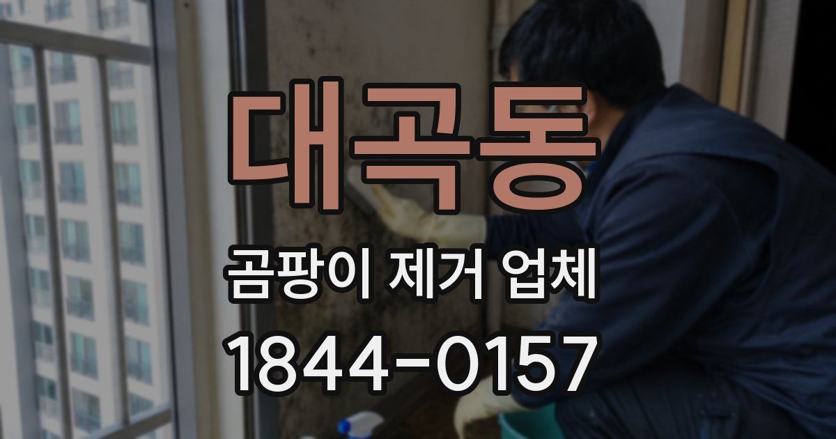 대곡동 곰팡이 제거 업체