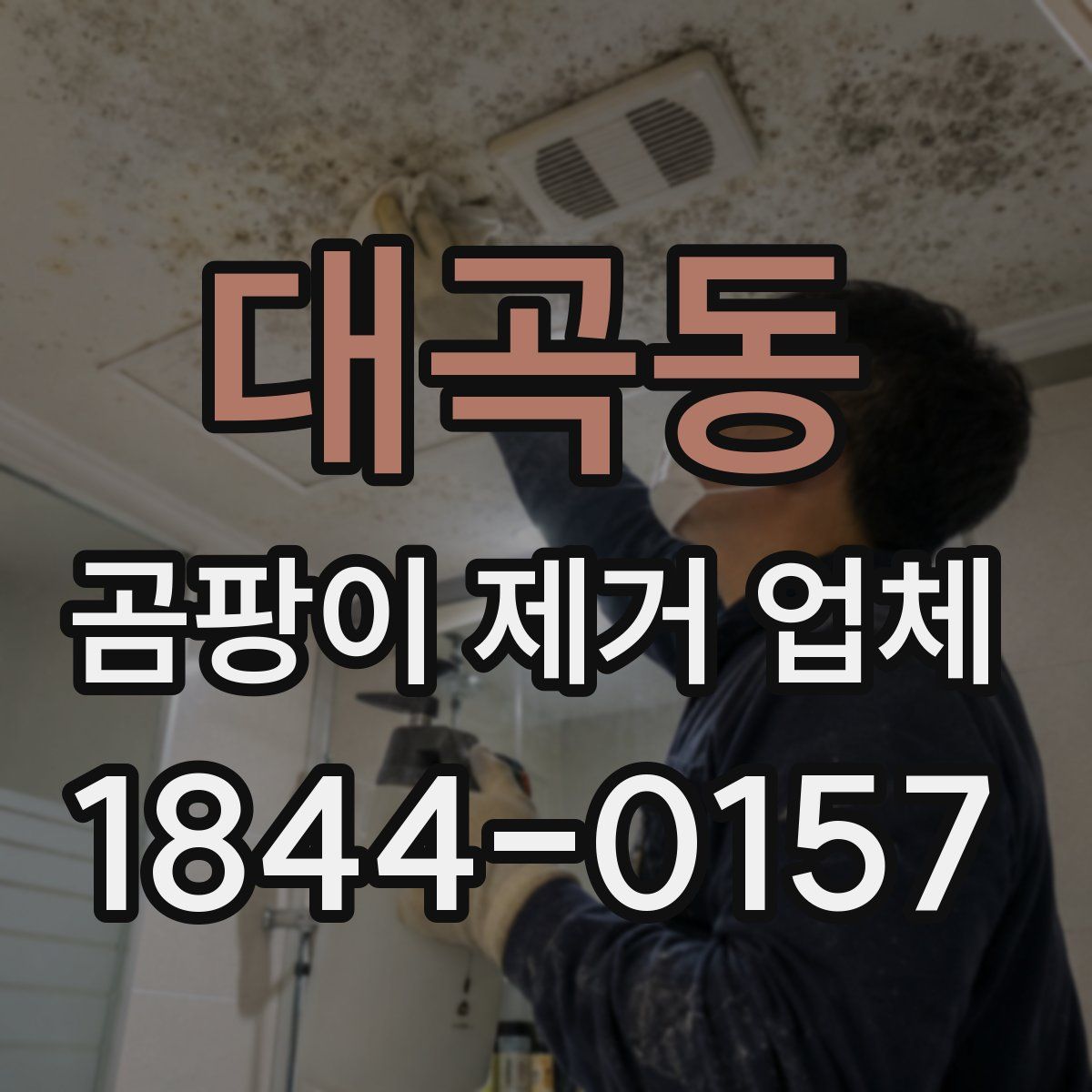 대곡동 곰팡이 제거 업체