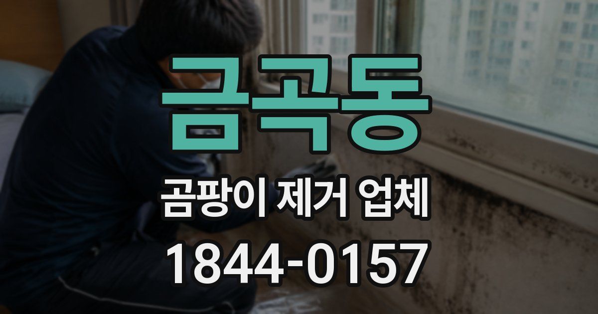 금곡동 곰팡이 제거 업체