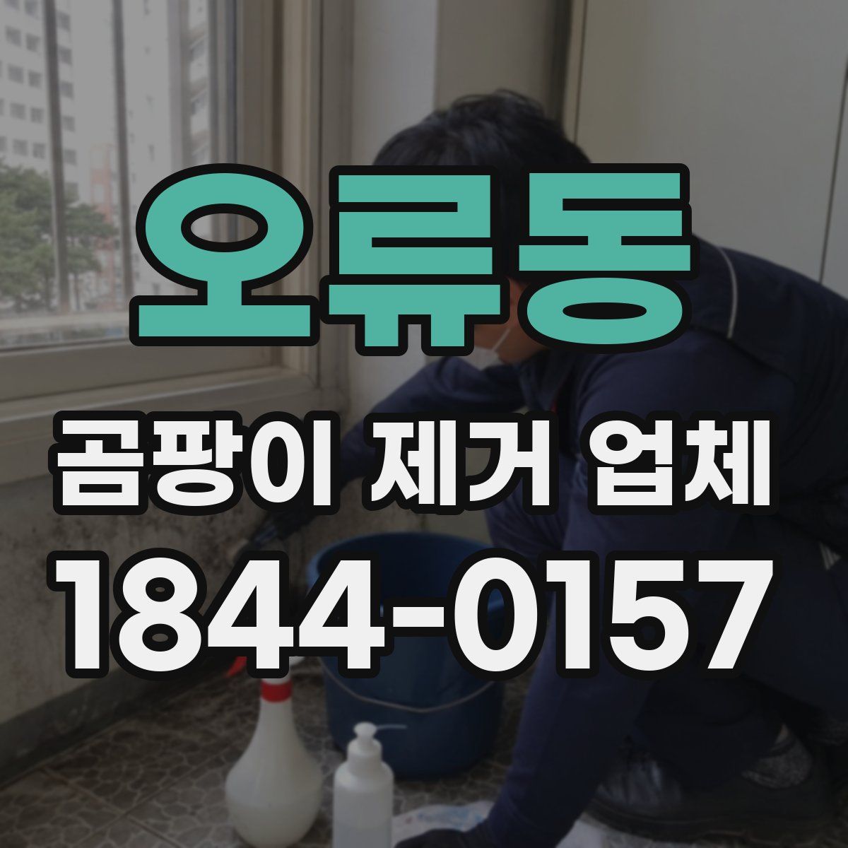 오류동 곰팡이 제거 업체