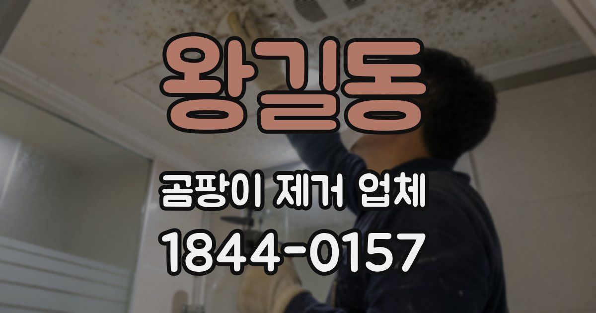 왕길동 곰팡이 제거 업체