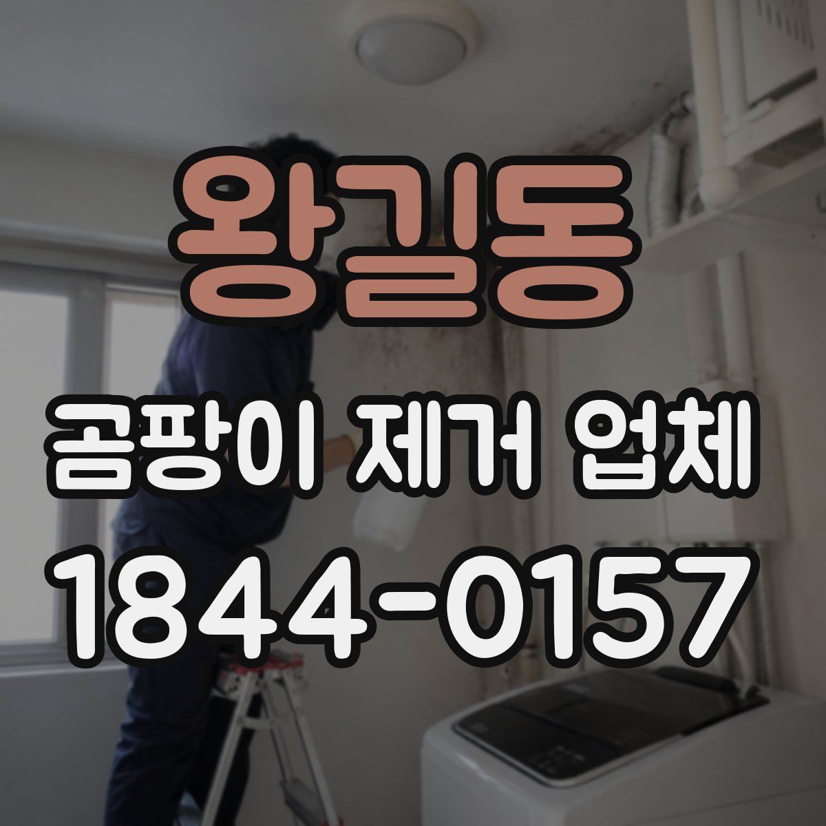 왕길동 곰팡이 제거 업체