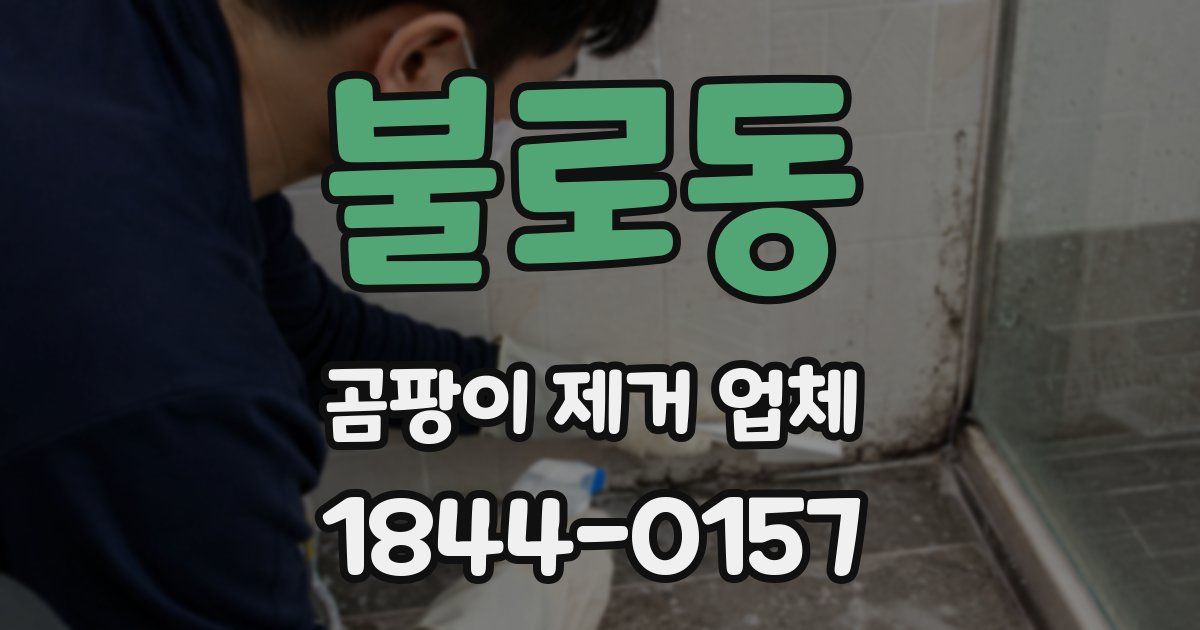 불로동 곰팡이 제거 업체