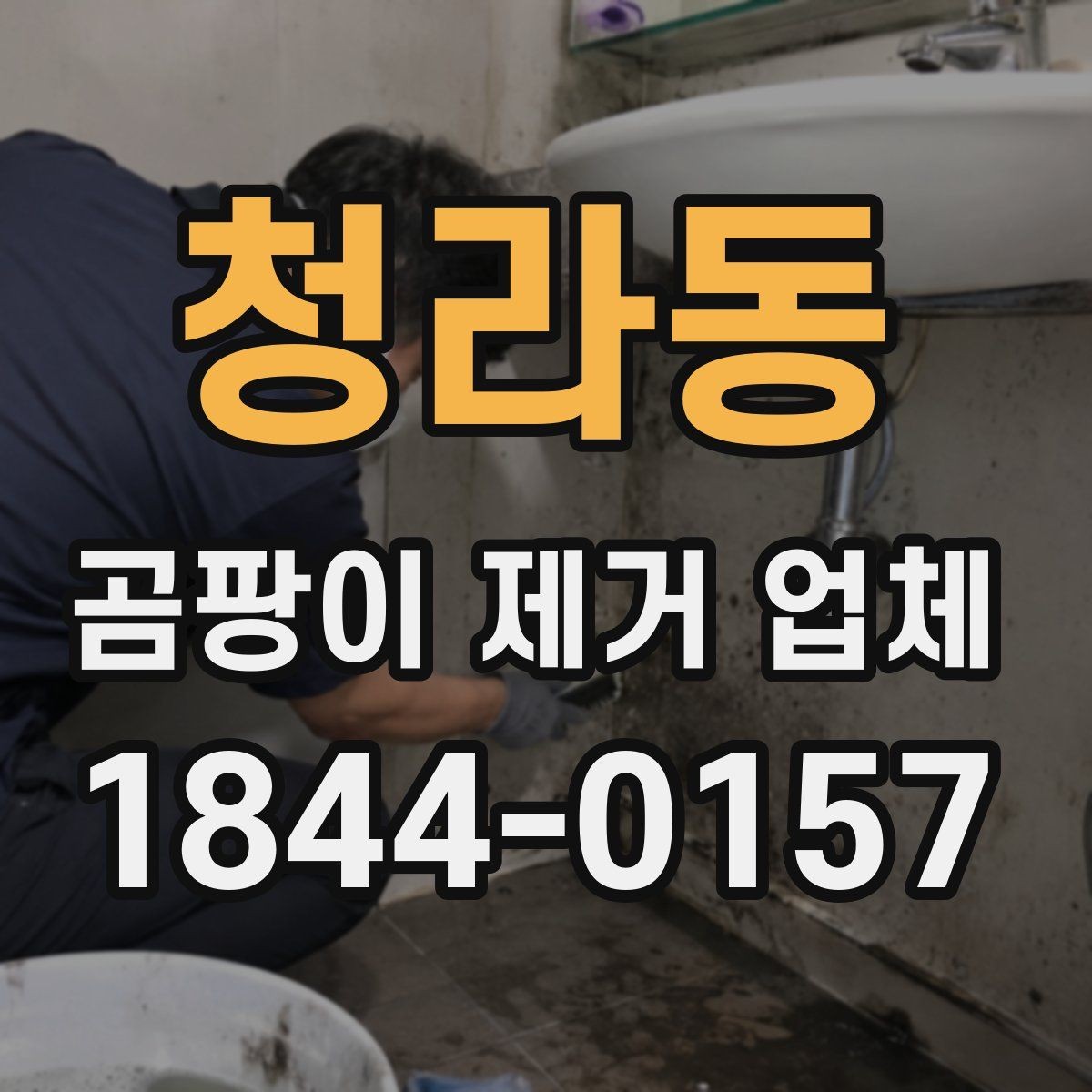 청라동 곰팡이 제거 업체 생활환경 진단까지 포함하는 검토 방식