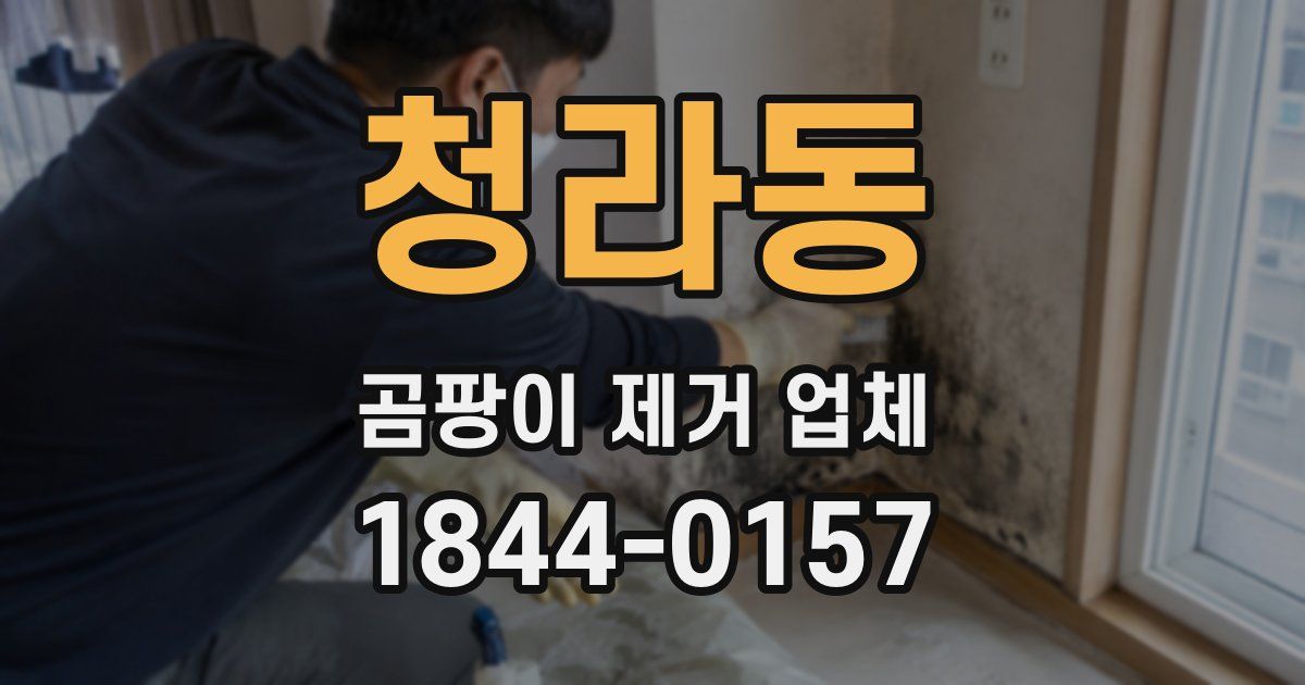 청라동 곰팡이 제거 업체