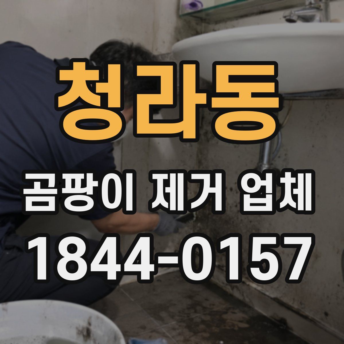 청라동 곰팡이 제거 업체